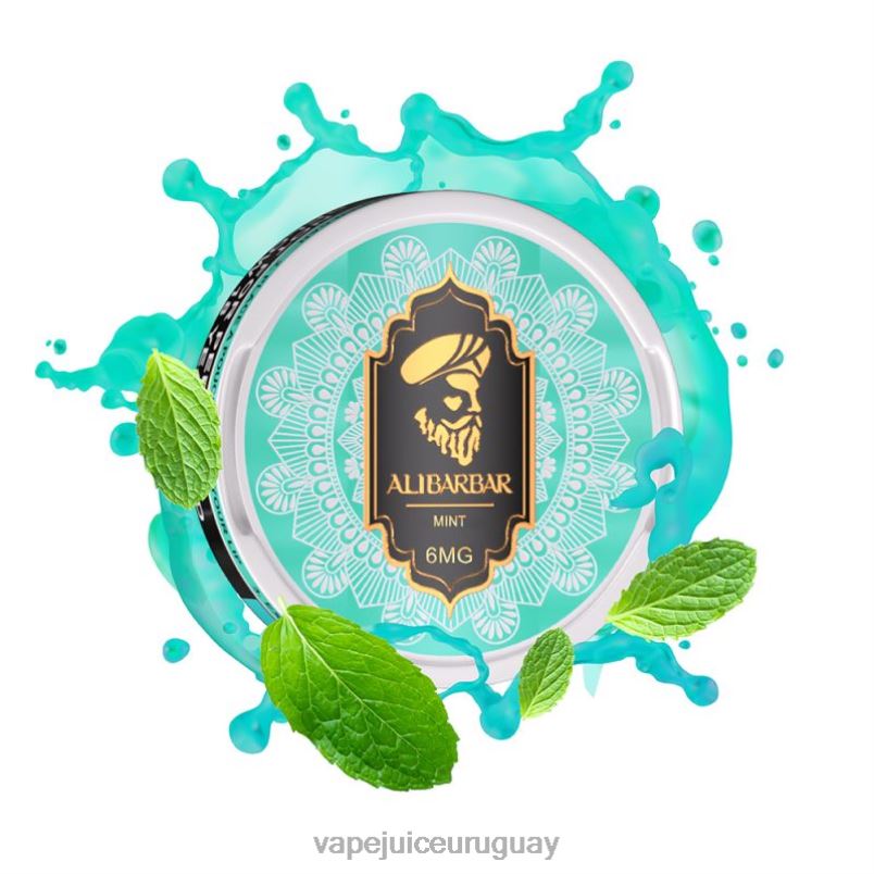 Alibarbar bolsas de nicotina menta DNFDX89 Fume Vape Uruguay