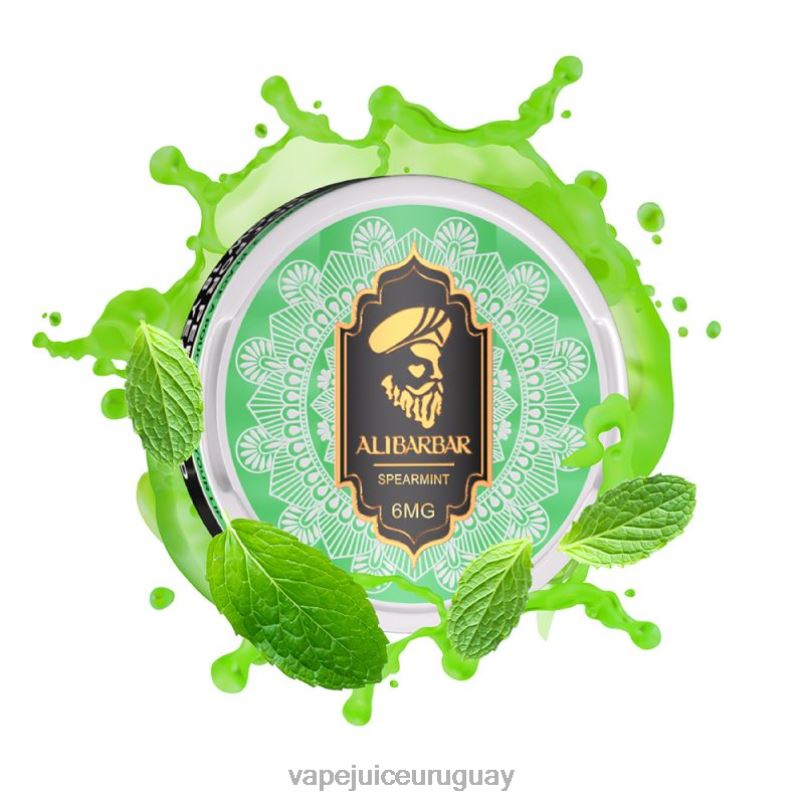 Alibarbar bolsas de nicotina menta verde DNFDX90 Vape UY