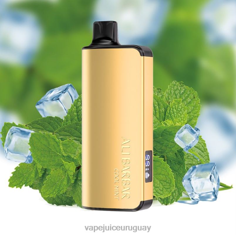 Alibarbar Ingot 20000 vaporizadores desechables menta fresca DNFDX35 Vape UY