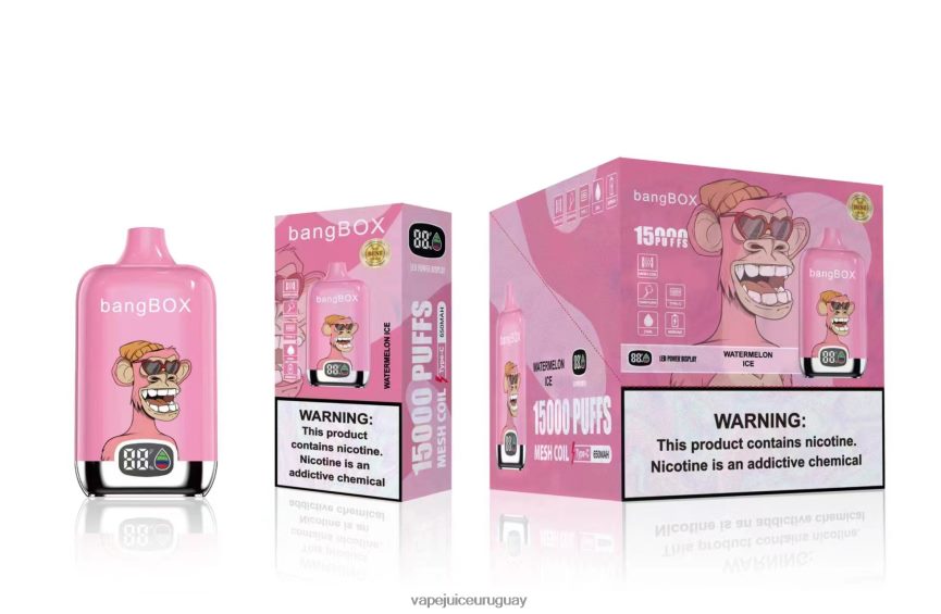 Vape UY J2DBD445 hielo de sandia - Bang Box 15000 bocanadas