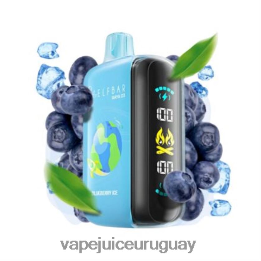 Vape Uruguay FL80NL1 - desechable Elf Bar Raya D3 25000