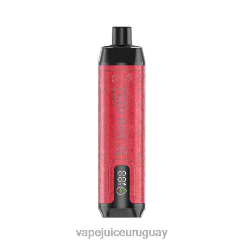 Vapsolo SHISHA vaporizador desechable dos manzanas DNFDX124 Fume Vape Uruguay