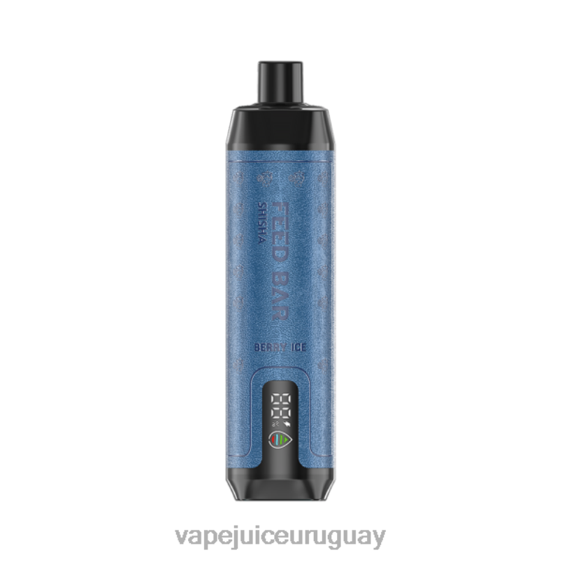 Vapsolo SHISHA vaporizador desechable hielo de baya DNFDX113 Vape Desechable Uruguay