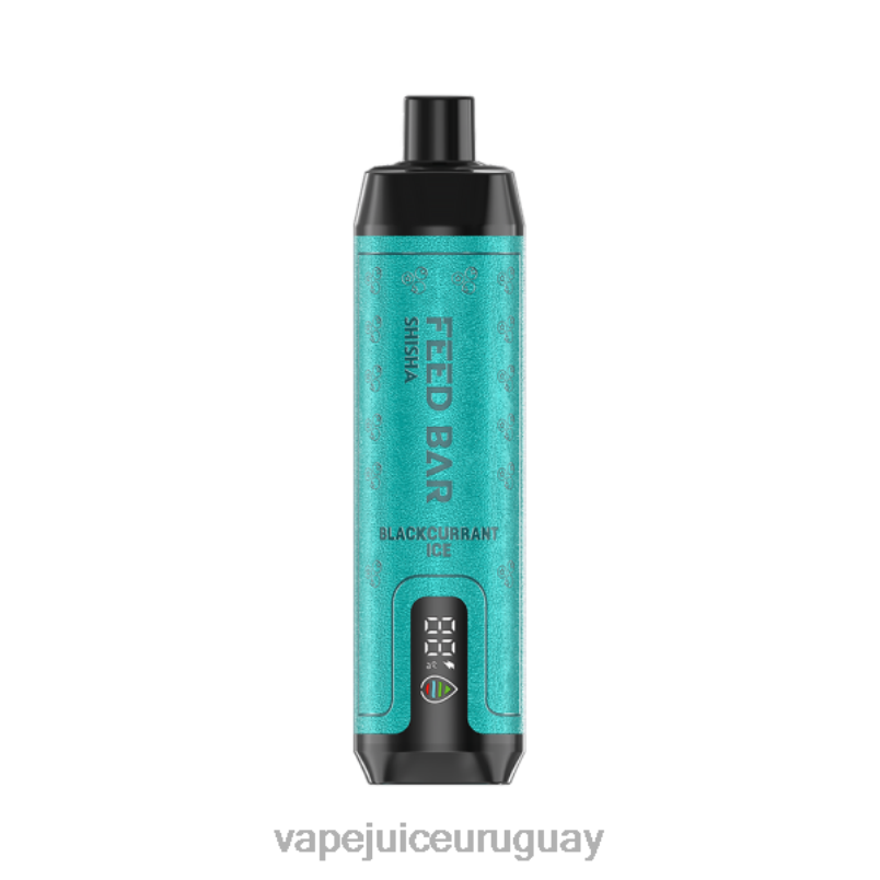 Vapsolo SHISHA vaporizador desechable hielo de grosella negra DNFDX114 Fume Vape Uruguay