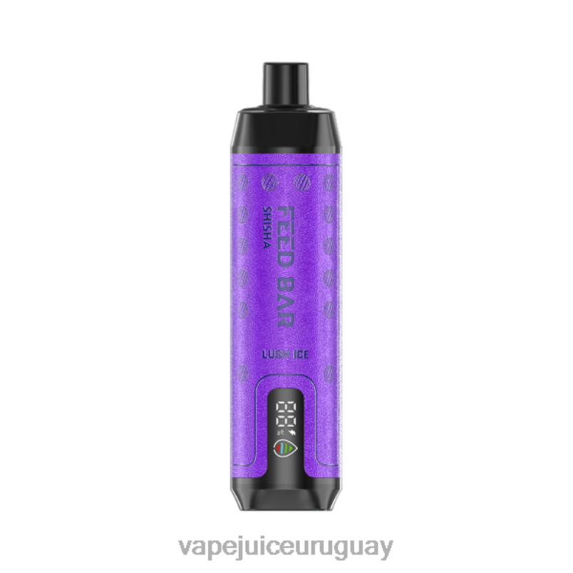 Vapsolo SHISHA vaporizador desechable hielo exuberante DNFDX120 Vape UY