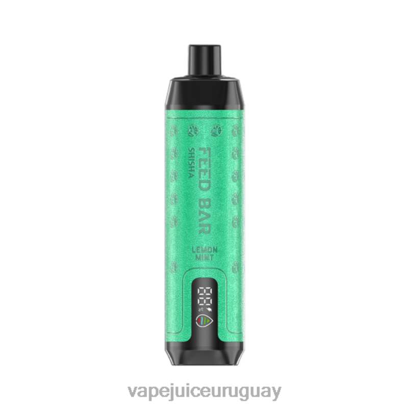 Vapsolo SHISHA vaporizador desechable menta limon DNFDX119 Fume Vape Uruguay