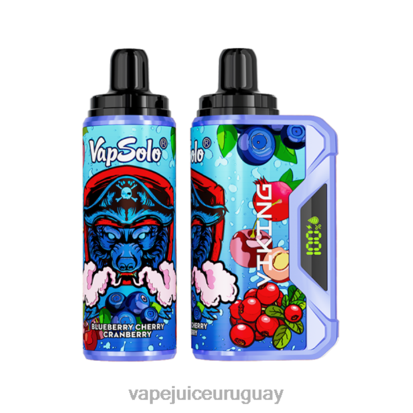 Vapsolo VIKING vaporizador desechable arándano cereza arándano DNFDX149 Fume Vape Uruguay