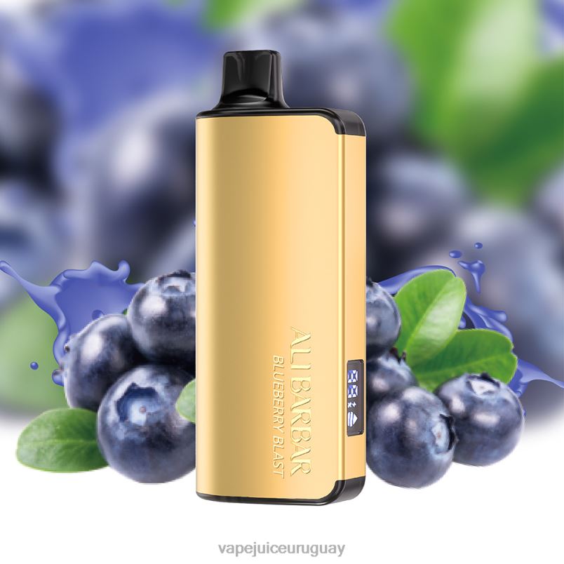 Alibarbar Ingot 9000 vaporizadores desechables explosión de arándanos DNFDX15 Vape UY