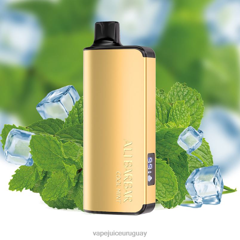 Alibarbar Ingot 9000 vaporizadores desechables menta fresca DNFDX18 Vape Desechable Uruguay