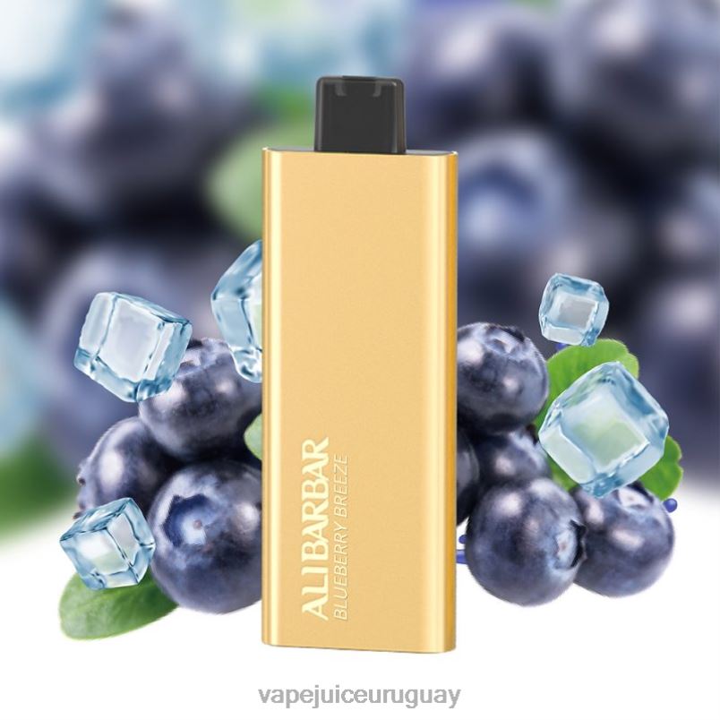 Alibarbar Pandora 7000 vaporizadores desechables brisa de arándanos DNFDX51 Vape Uruguay