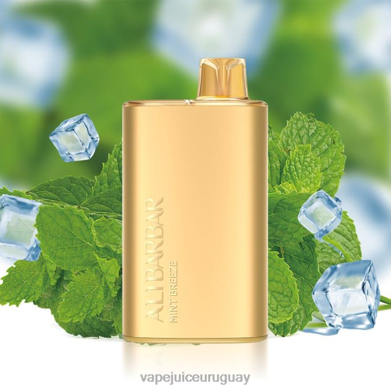 Alibarbar Rich 8000 vaporizadores desechables brisa de menta DNFDX8 Vape Desechable Uruguay