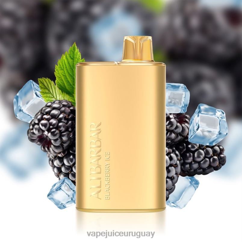 Alibarbar Rich 8000 vaporizadores desechables hielo de mora DNFDX10 Vape UY